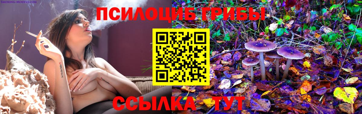 Галлюциногенные грибы Cubensis Вышний Волочёк