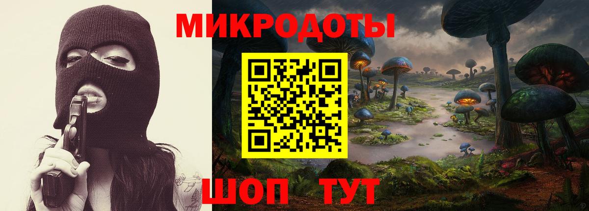 Вышний Волочёк  Псилоцибиновые грибы GOLDEN TEACHER  Псилоцибиновые грибы мицелий  Вход с VPN 
